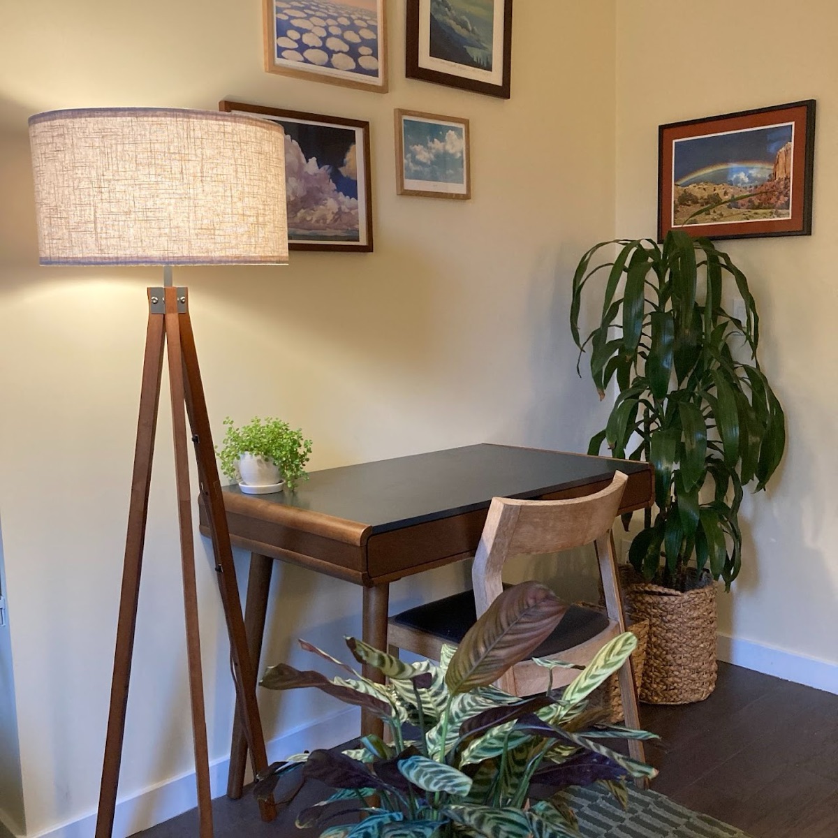 Comfortable seating in Sophia's Santa Barbara therapy office
